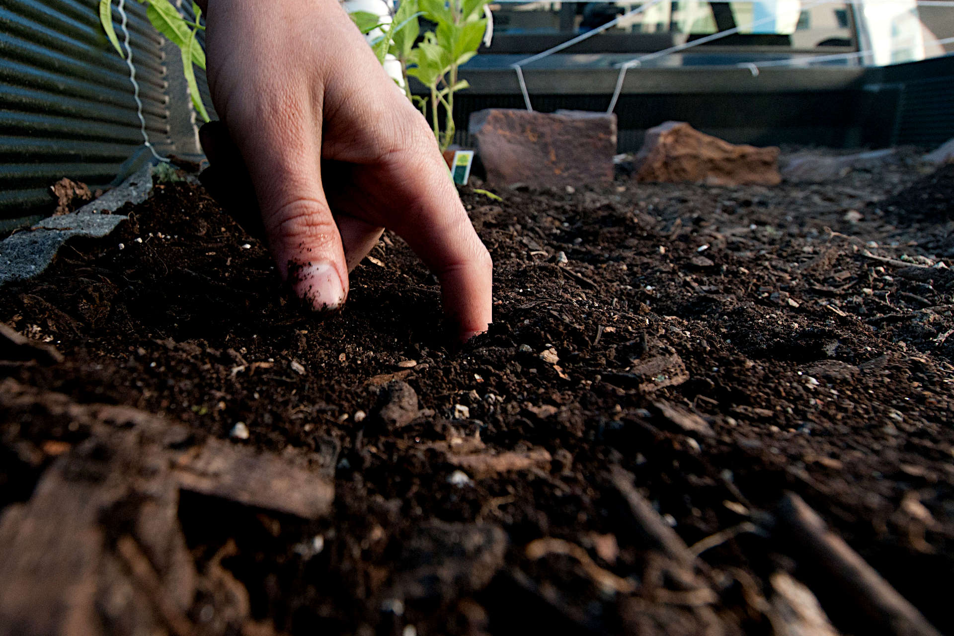 Soil To Compost Ratio How Much Compost Should You Add To Your Soil