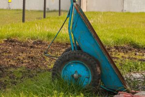 Top Dressing Lawn With Compost How To Top Dress Your Lawn The Right