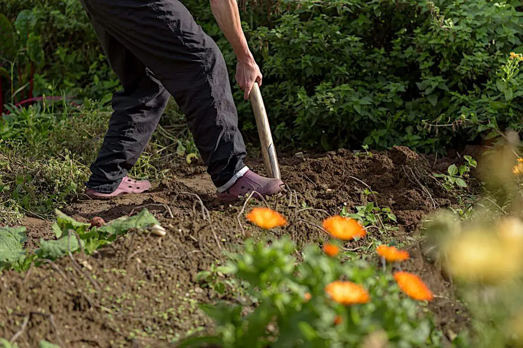 gardening helping health