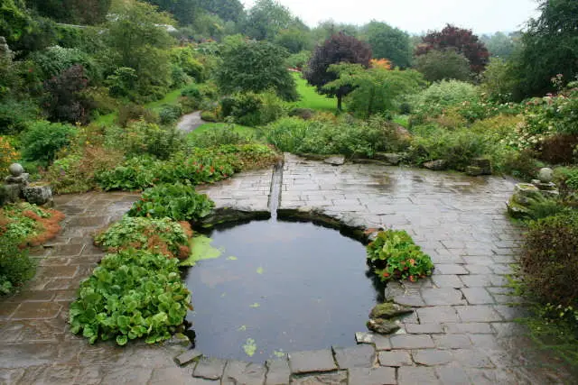 Pond rainwater capture