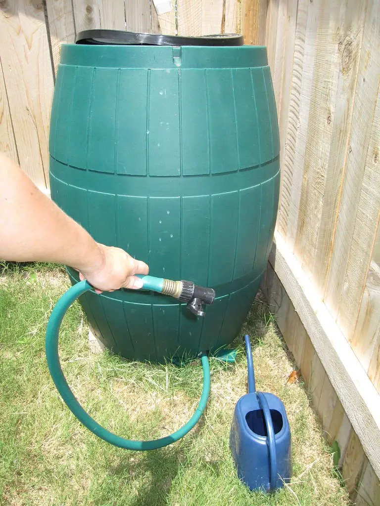 Capture and Harvest Rainwater in Backyard - Rain Barrel