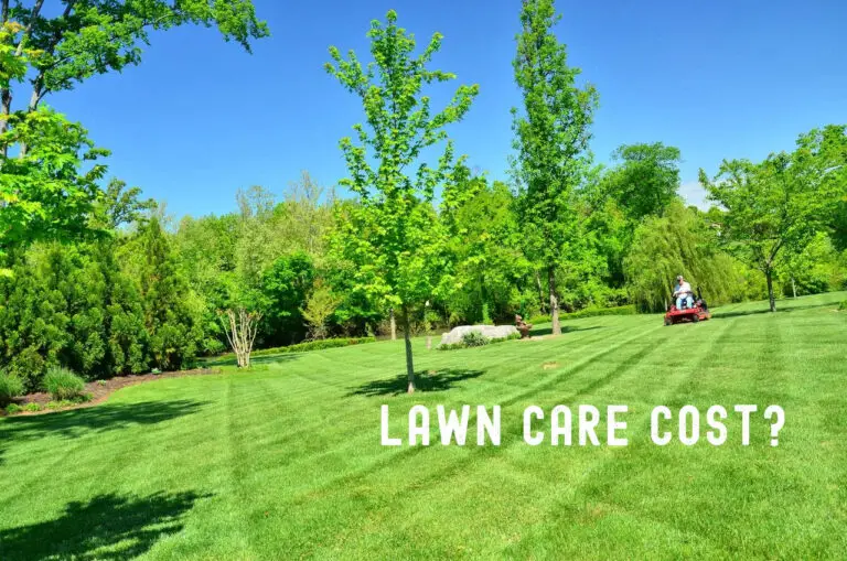 What does Lawn Care Cost? Lawn Mowing and Maintenance Cost