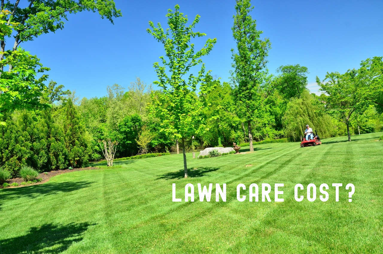 What Does Lawn Care Cost Mowing, Landscaping Grass Cost
