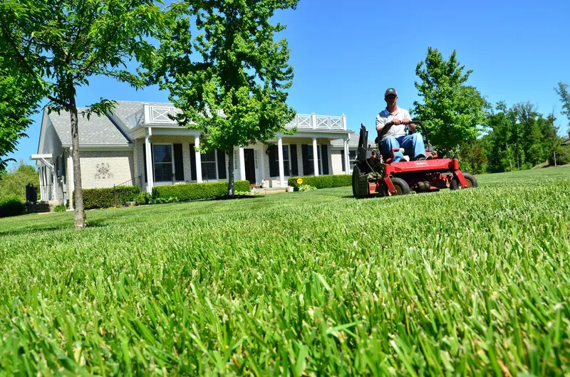 lawn care cost - Size of Lawn