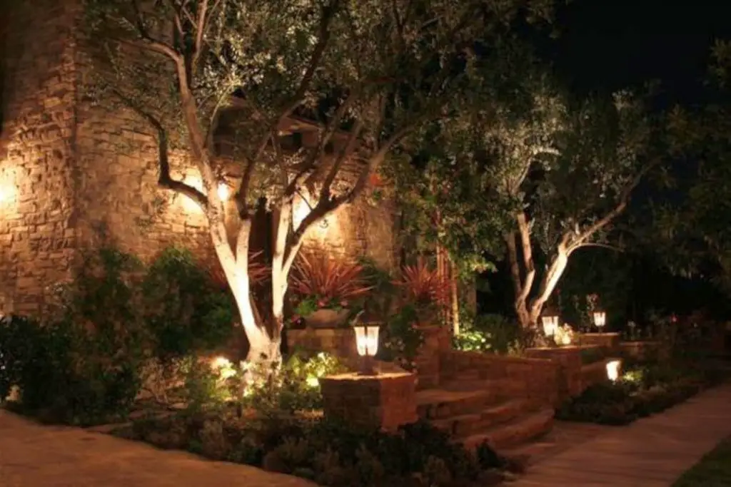 Lighting for your Yard - Up lighting and Grazing