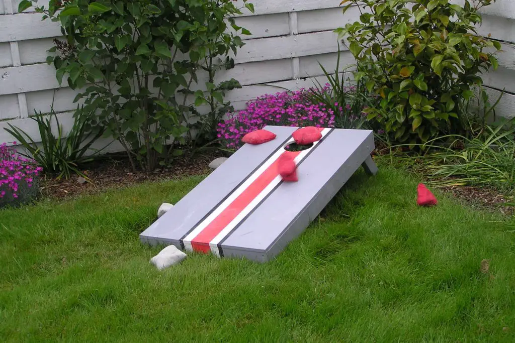 cornhole BBQ games for Adults