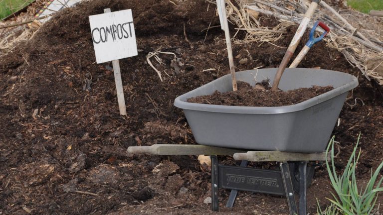 Composting in Winter | Composting in Cold Climates