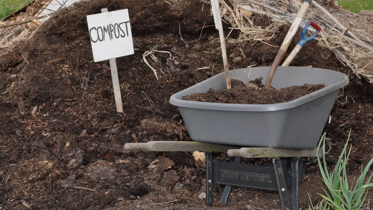 Composting in Winter Composting in Cold Climates Gardening Latest