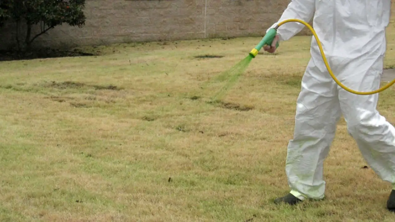 Safety and precautions when using lawn fungicide