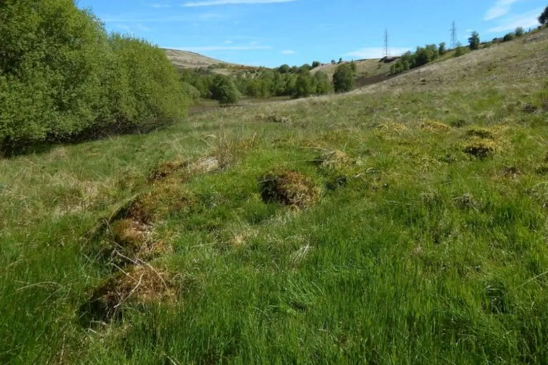 Leveling a Garden Slope How to Level a Sloping Garden? Gardening Latest