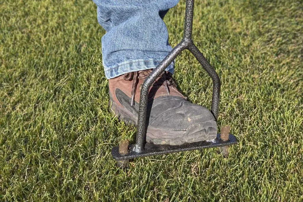 A Guide to Forking a Lawn