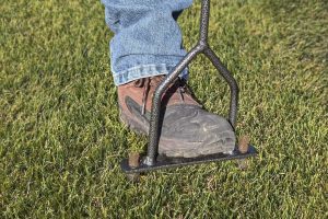 From Garden Fork to Aerator - Aerating Lawn Correctly - Gardening Latest