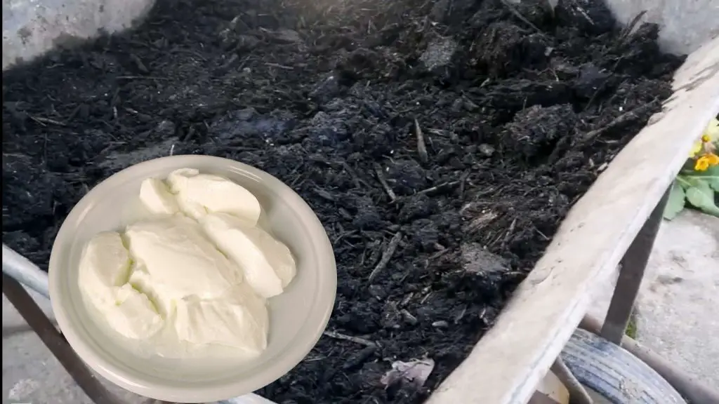 Yogurt in Compost