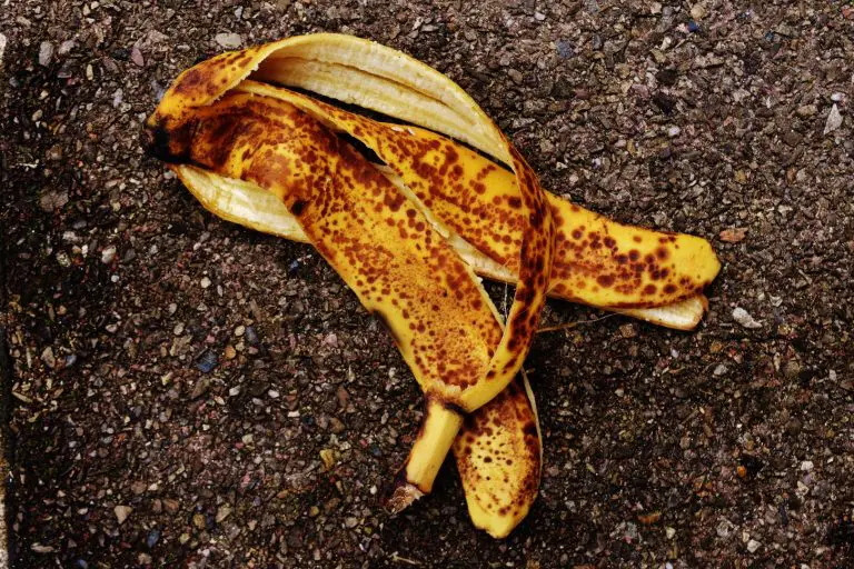 Banana Peel Compost | Debunking Myths