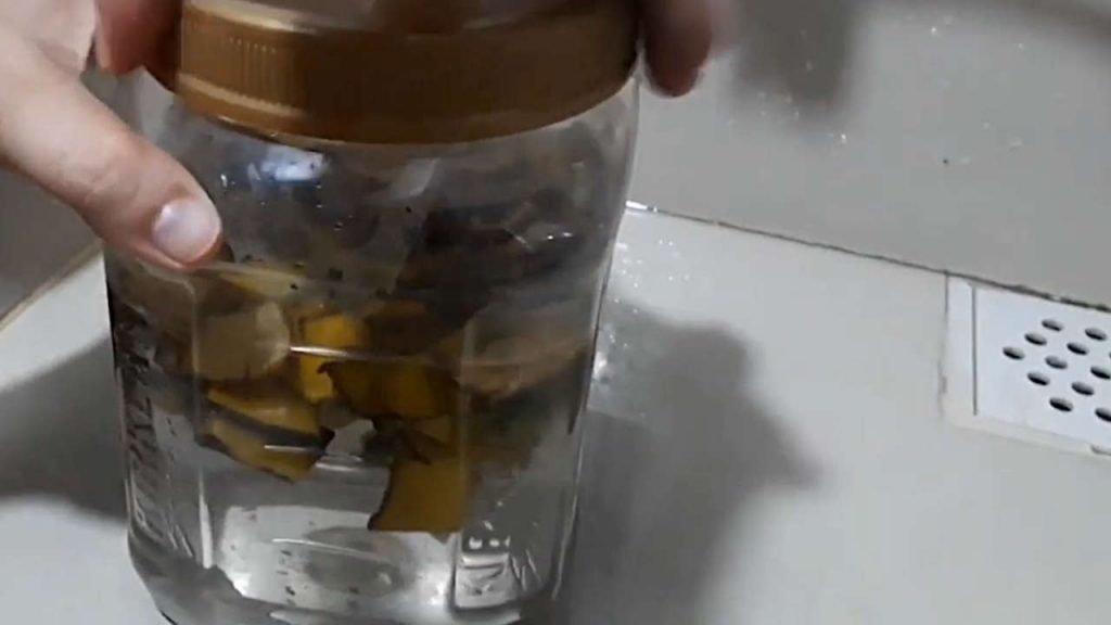 Make a compost tea with your banana peels
