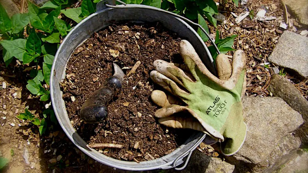 The reasons why you should start bucket composting