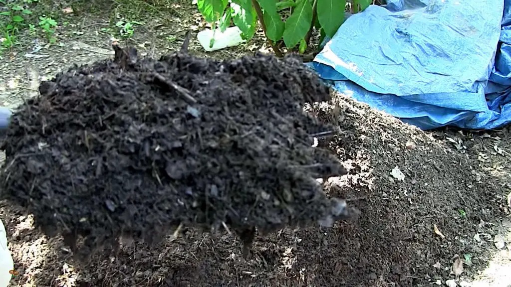 Adding vinegar to finished compost