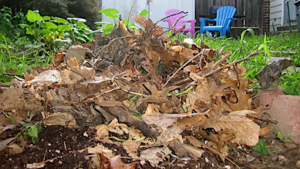 Constructing a Cold Compost Pile