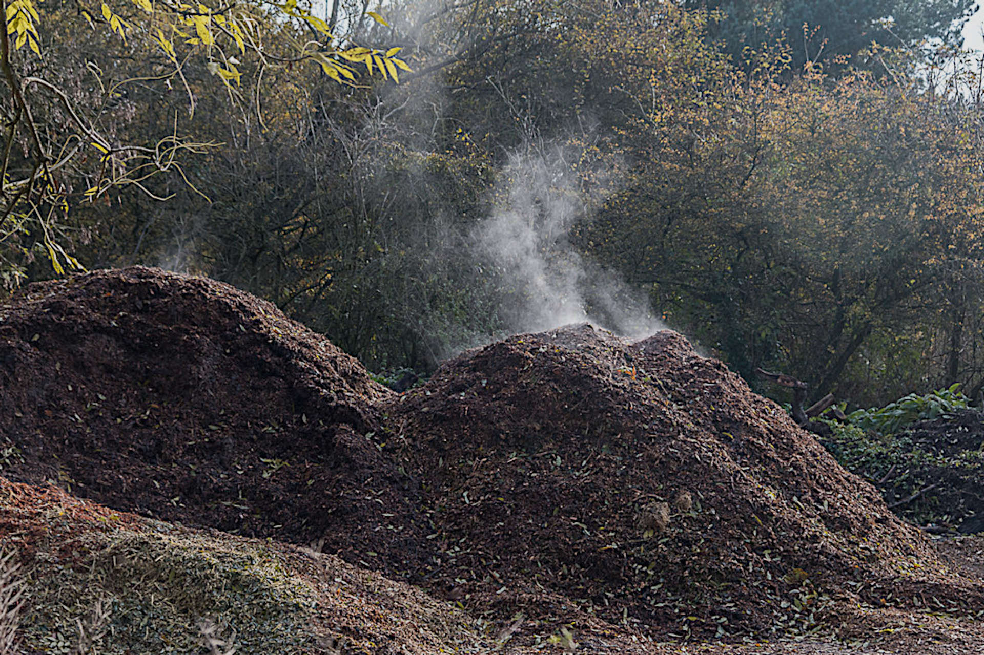 Compost Not Heating Up How to Make and Maintain a Compost Pile's Heat