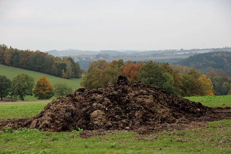 Why Does my Compost Smell? How to Stop Your Compost Pile Smelling