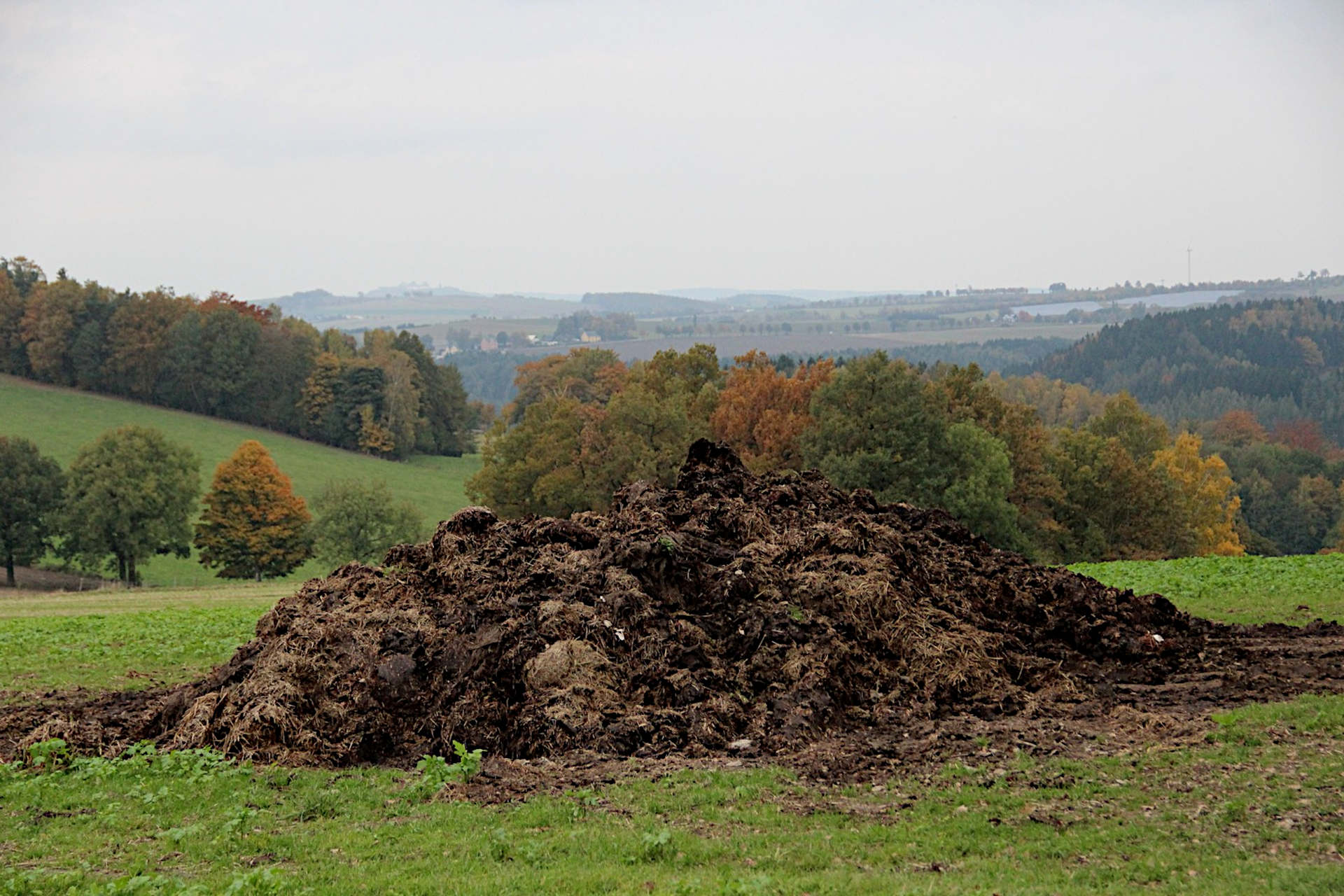 Why Does my Compost Smell? How to Stop Your Compost Pile Smelling