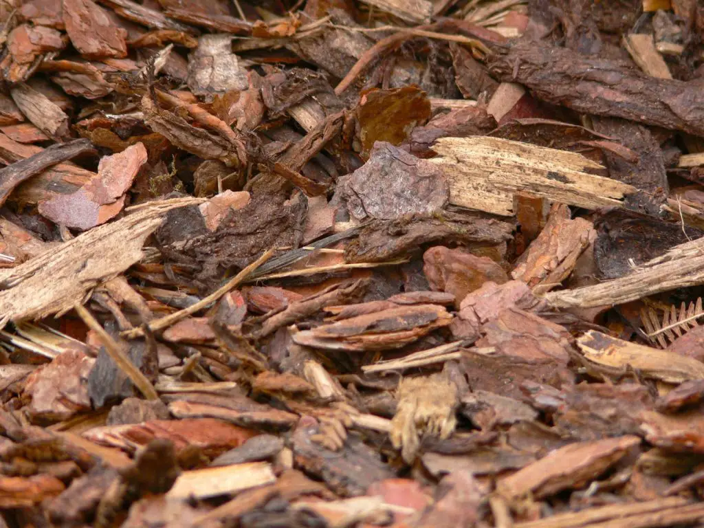 How to use composted bark?