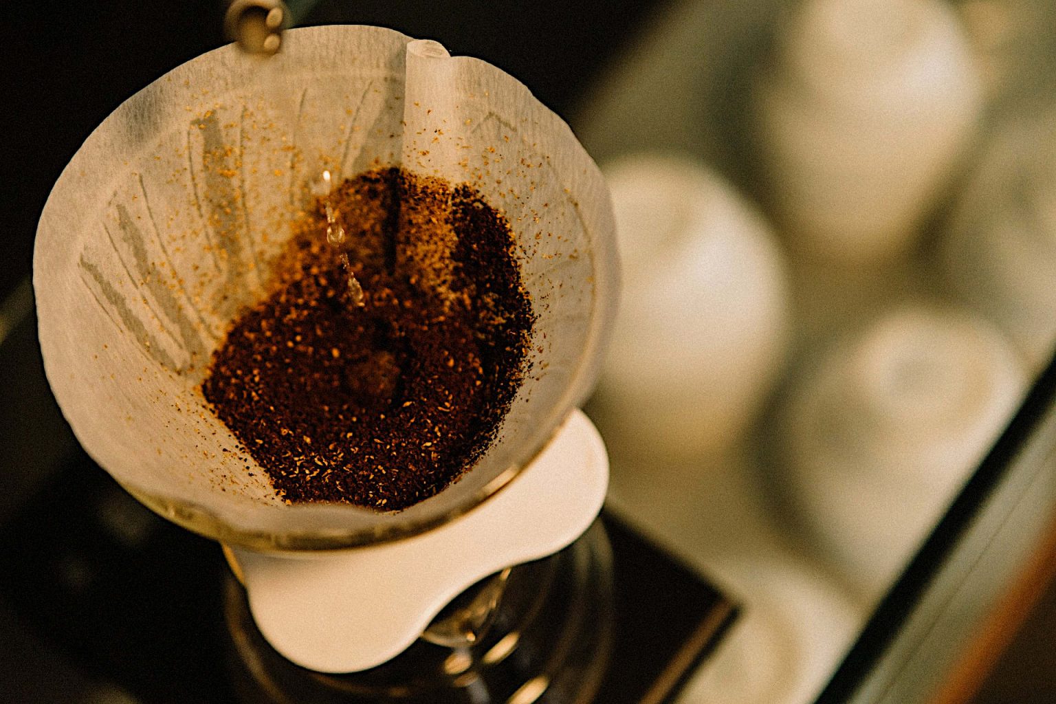 Are Coffee Filters Compostable? Be Careful What You Compost