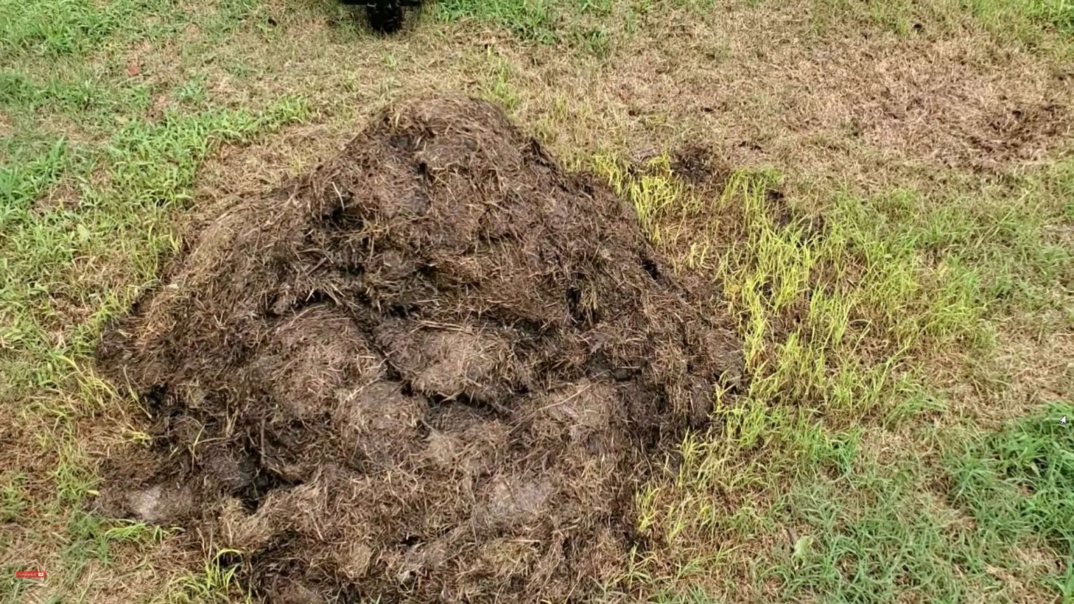 Hot Composting Better Compost in a Shorter Time Gardening Latest