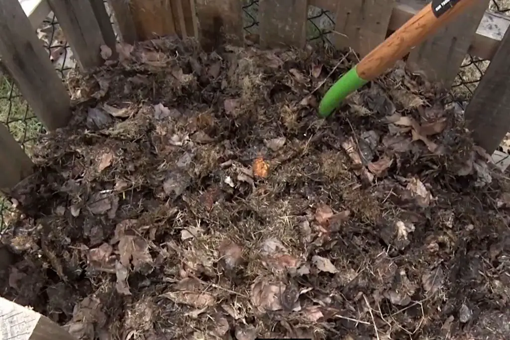  how often to turn compost