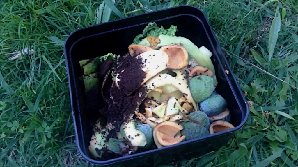 kitchen scraps to compost