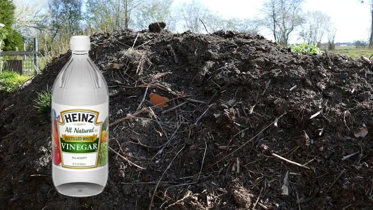 Putting Vinegar in Compost | Is Vinegar Good for Soil?