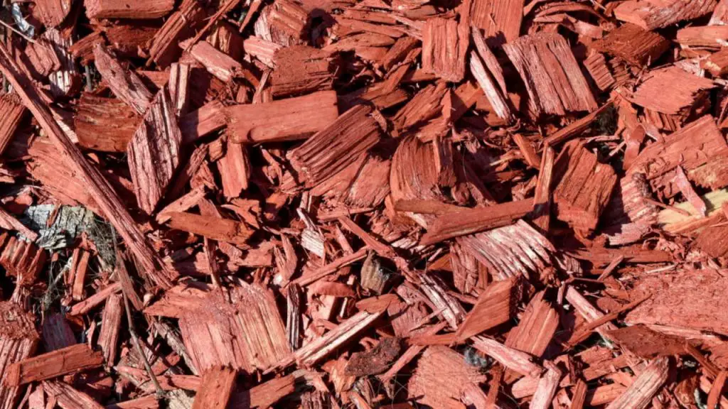 bark mulch