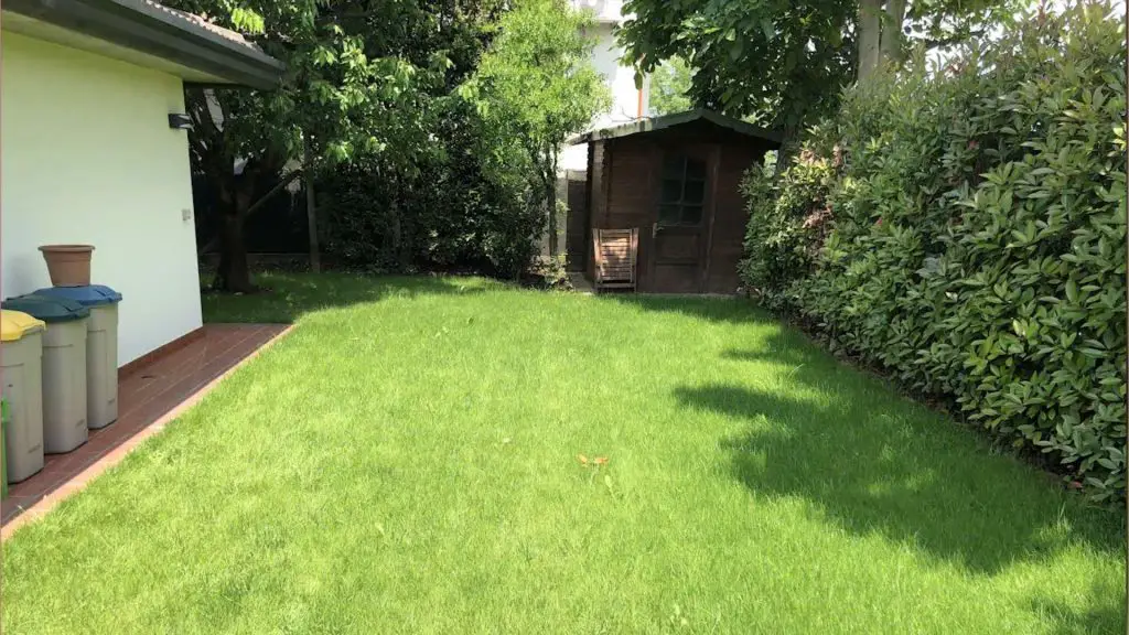Hydroseeding - finished revived lawn 