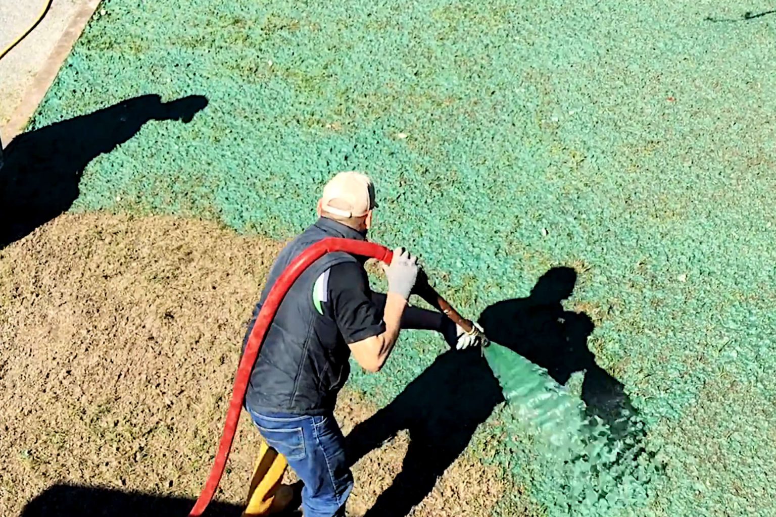 Can You Hydroseed an Existing Lawn? | Does Hydroseeding Kill the 