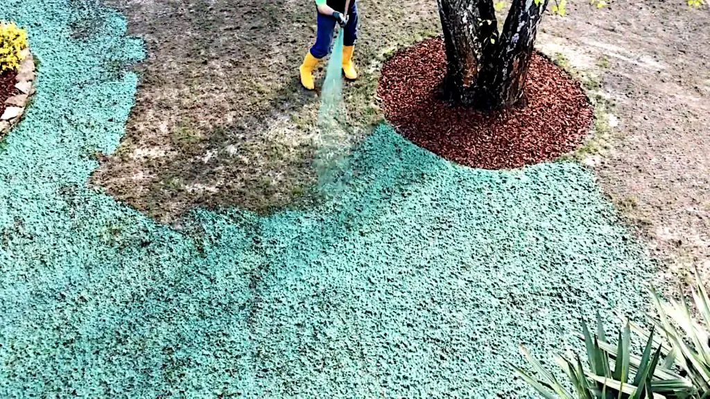 Hydroseeding over an existing lawn