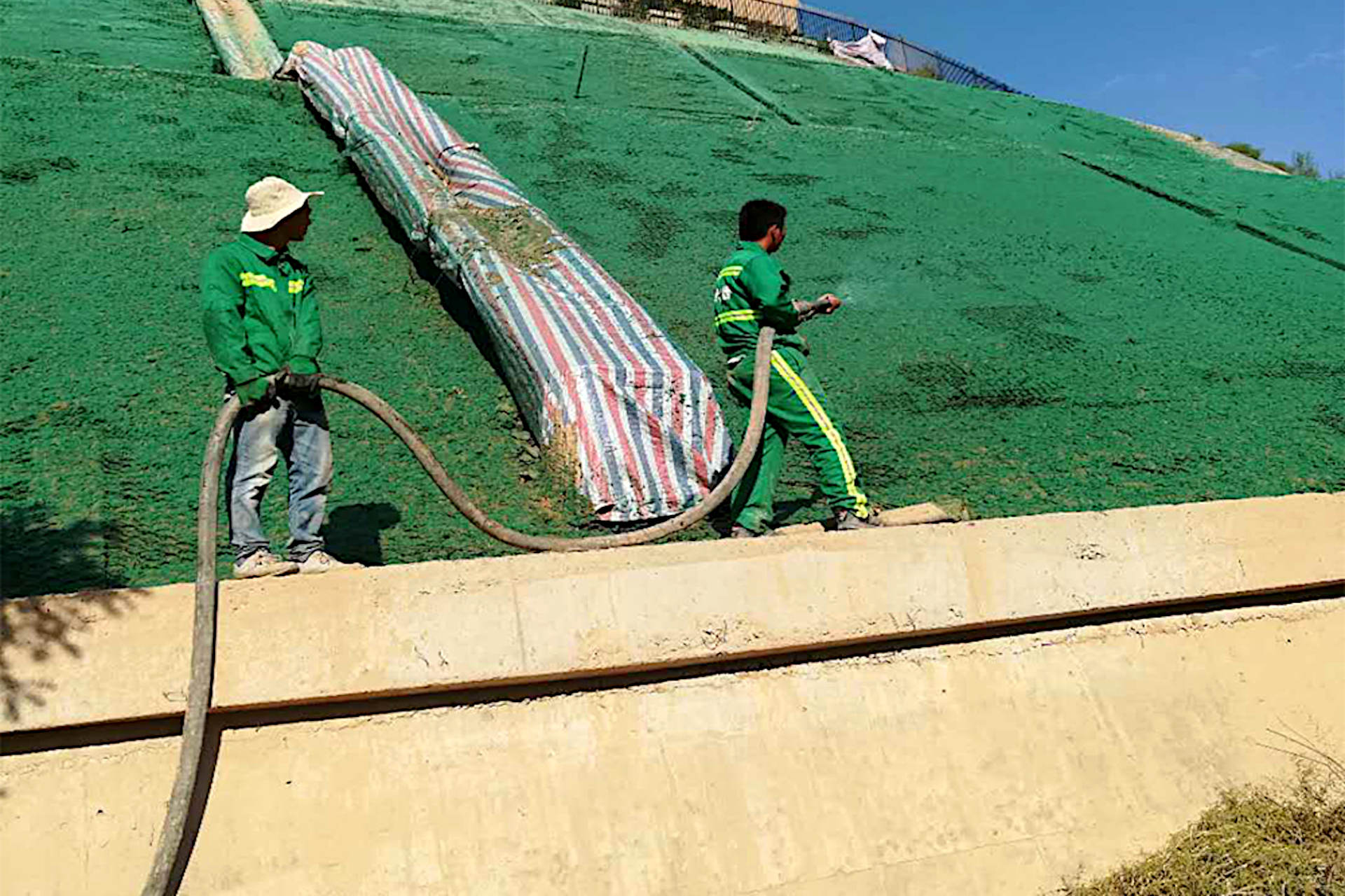 What is the Difference Between Hydroseeding and Hydromulching