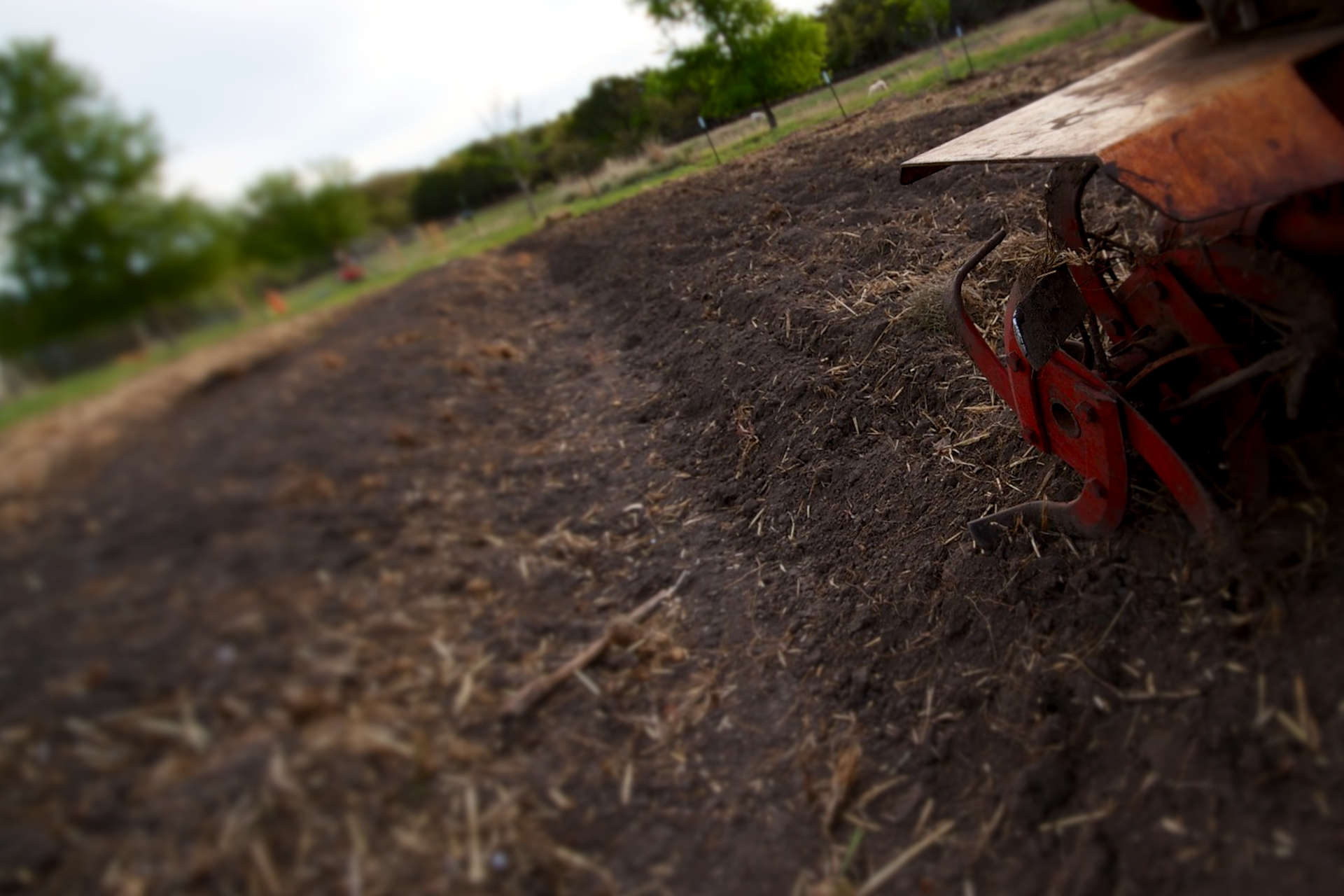 How to Prepare the Ground Before Hydroseeding | Getting a Premium ...