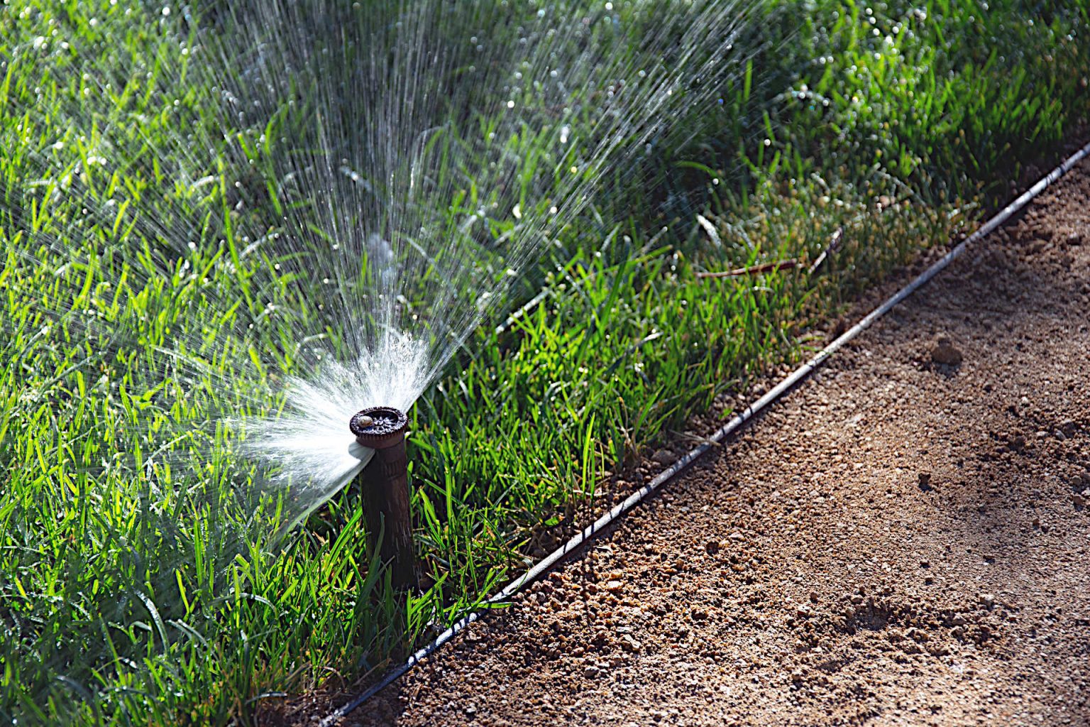 Hydroseeding Lawn Maintenance How To Care for Your Newly Hydroseeded