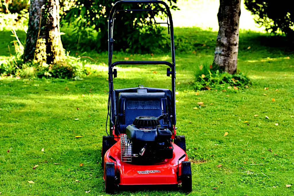 Mowing after Hydroseeding