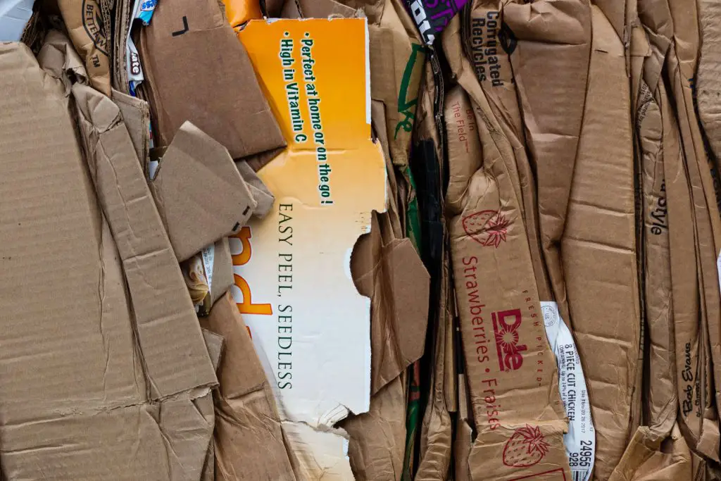 Compostable Cardboard Packaging