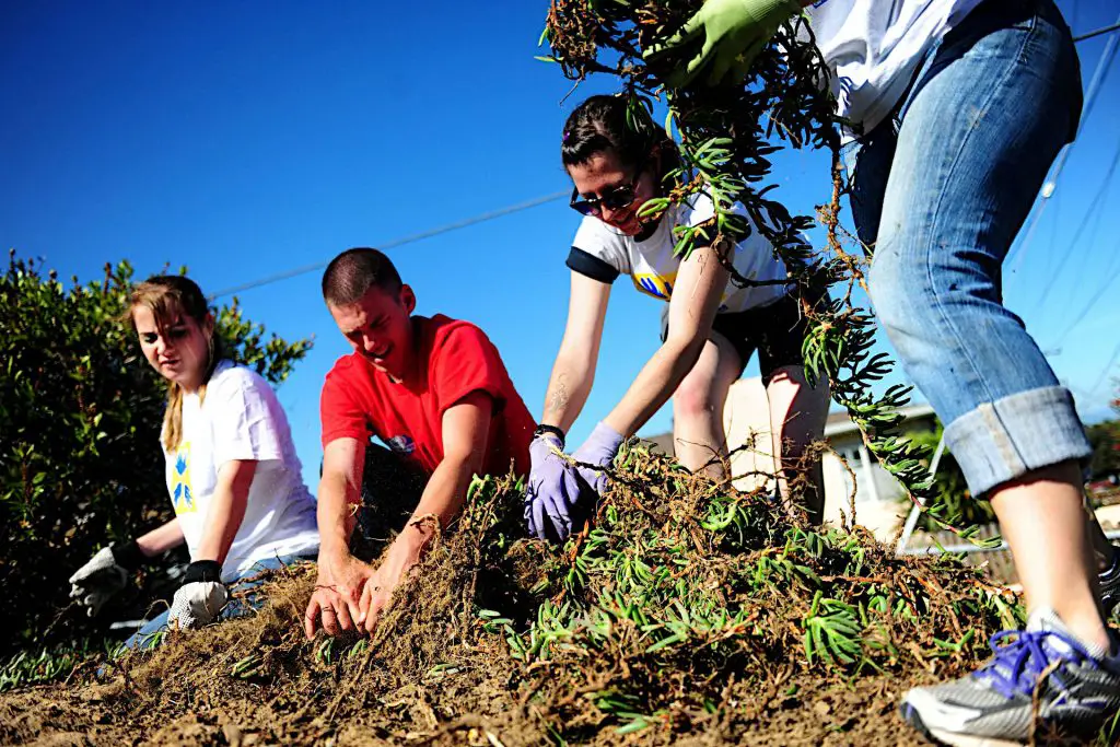 selling compost to community garden or gardening clubs