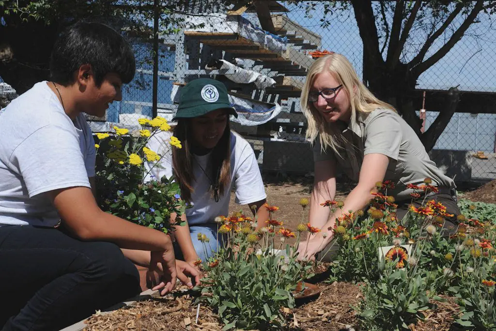 What Is a Community Garden