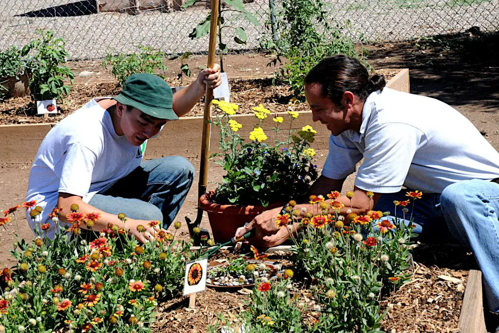 using community gardens