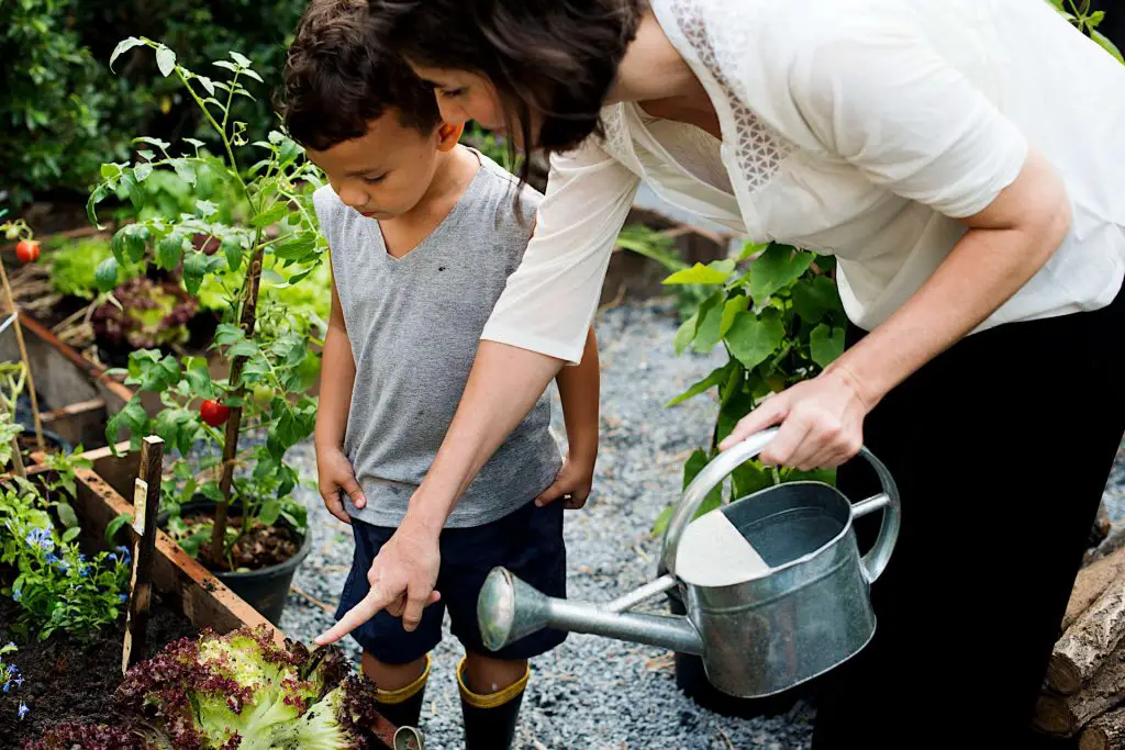 gardening club