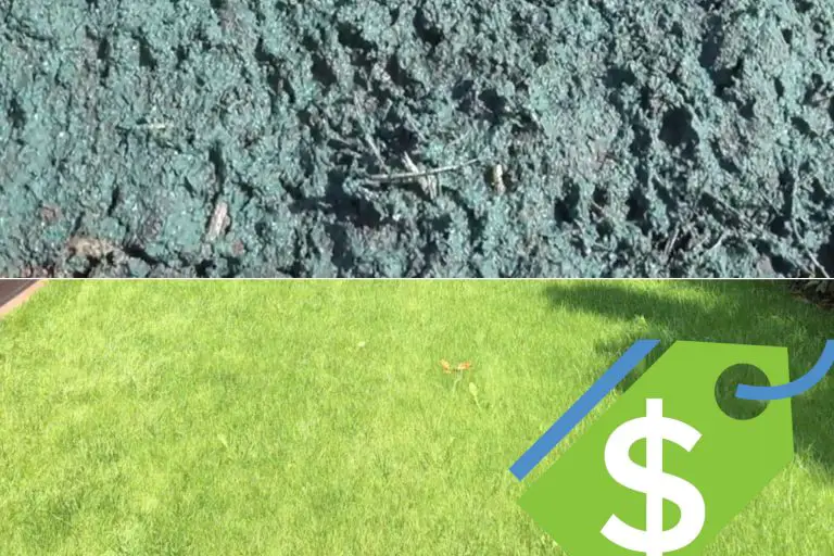 How Much Does Hydroseeding Cost? The True Cost of Hydroseeding Your Lawn