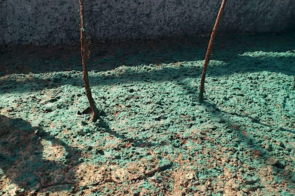 mixed hydroseeding hydromulching