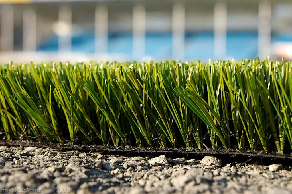 Is Natural Grass Still Better than Artificial Turf?