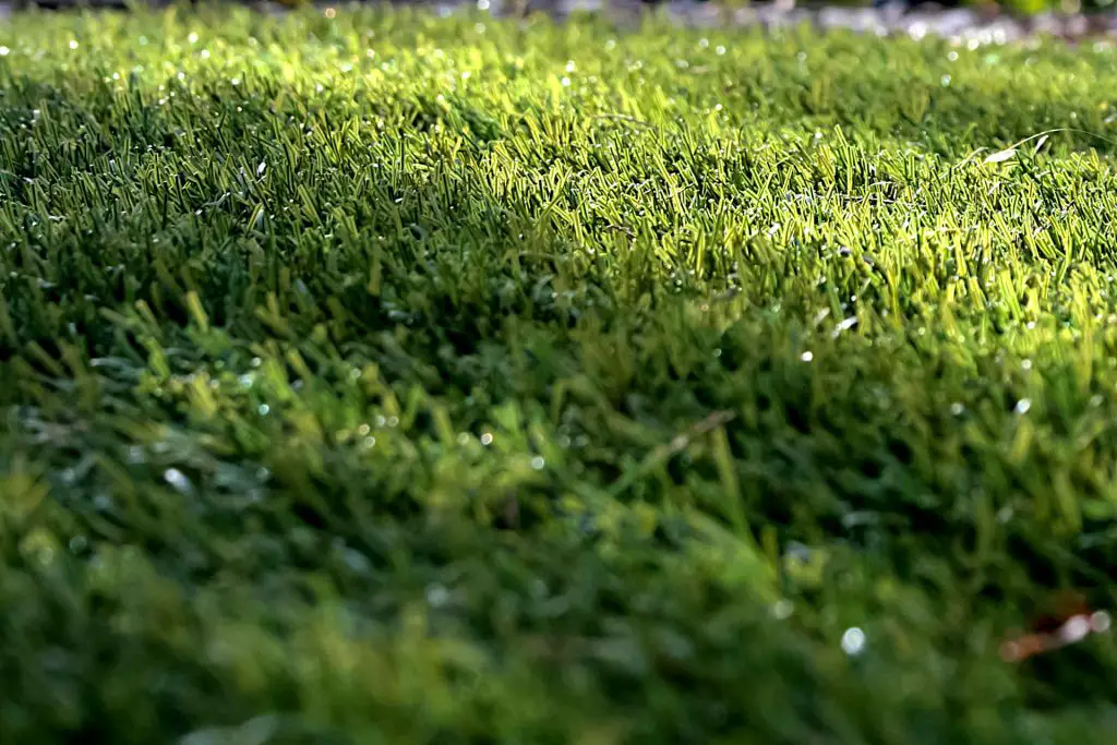 Artificial Turf vs Natural Grass: Synthetic Grass Closing the Gap on Natural Grass