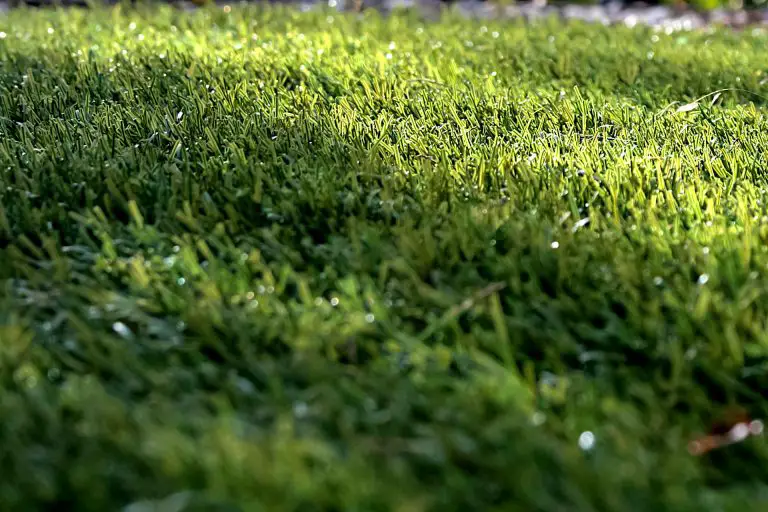 Artificial Turf vs Natural Grass: Synthetic Grass Closing the Gap on Natural Grass