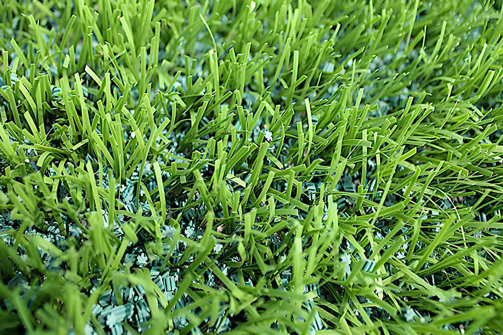 Why Does Turf Have Rubber Pellets: Rubber Pellets Artificial Turf